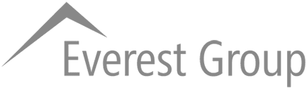 Everest group logo on a green background featuring visual IVR technology.