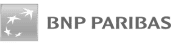 BNPP-768x200-1.png