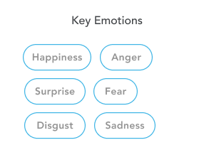 The key emotions in emotion AI are happiness, anger, surprise, and sadness.